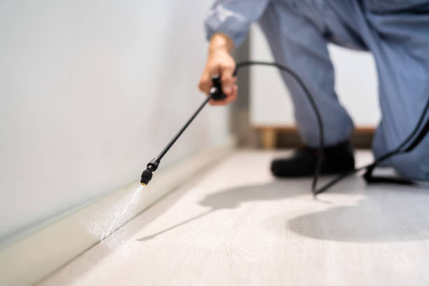Bed Bug Pre-Treatment Preparation Assessment in Anacortes