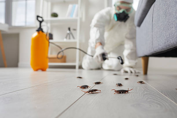 Post-Treatment Bed Bug Interceptor Monitoring in Anacortes