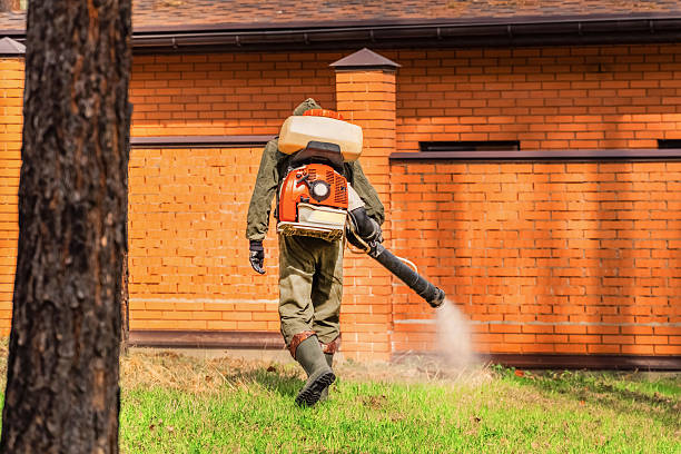 Bed Bug Clearance Verification and Documentation in Anacortes